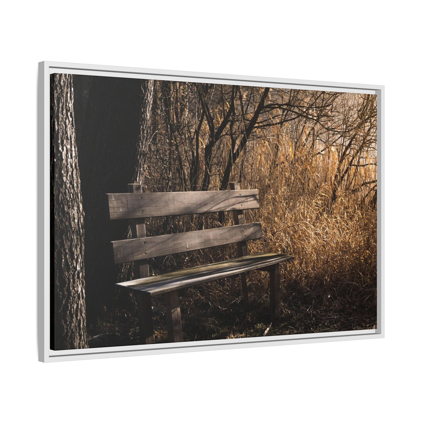 Framed Matte Canvas Print — Autumn Park Bench Photography