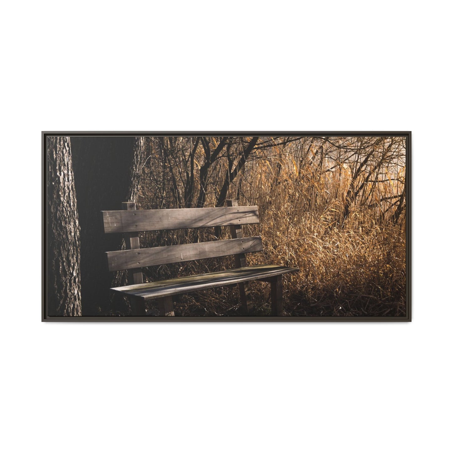 Framed Matte Canvas Print — Autumn Park Bench Photography
