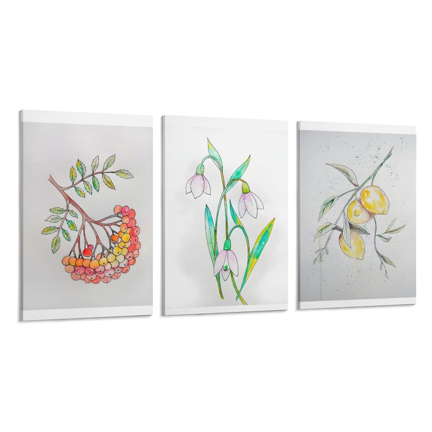 Vertical Framed Wall - Fruit and Flowers