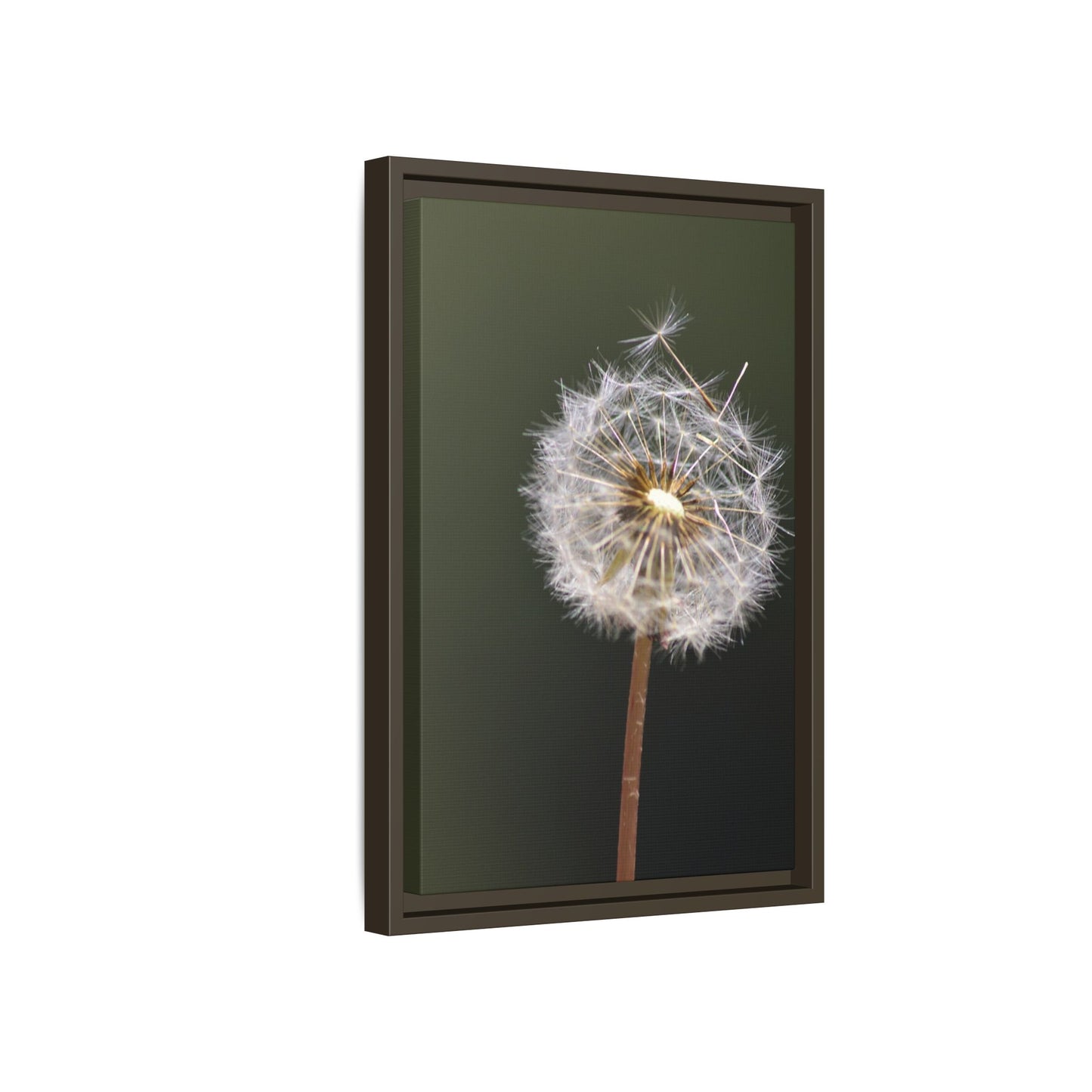 Framed Dandelion Canvas Print — Matte Botanical Wall Art