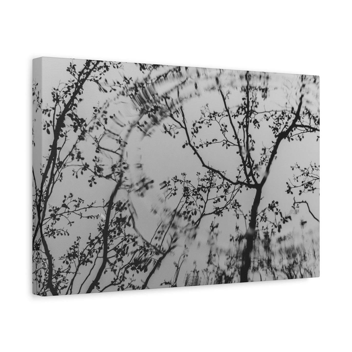 Canvas Wall Art — Monochrome Blurred Ferris Wheel with Tree Silhouettes