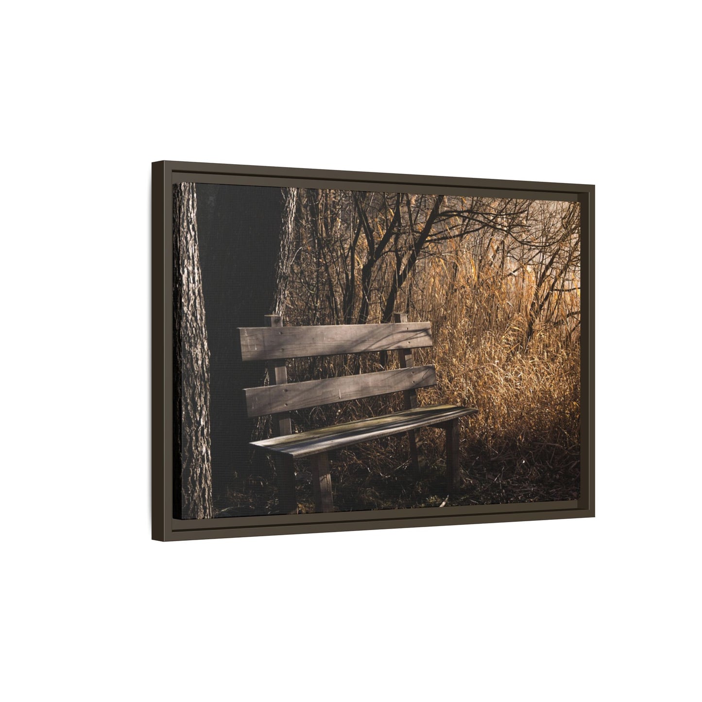 Framed Matte Canvas Print — Autumn Park Bench Photography