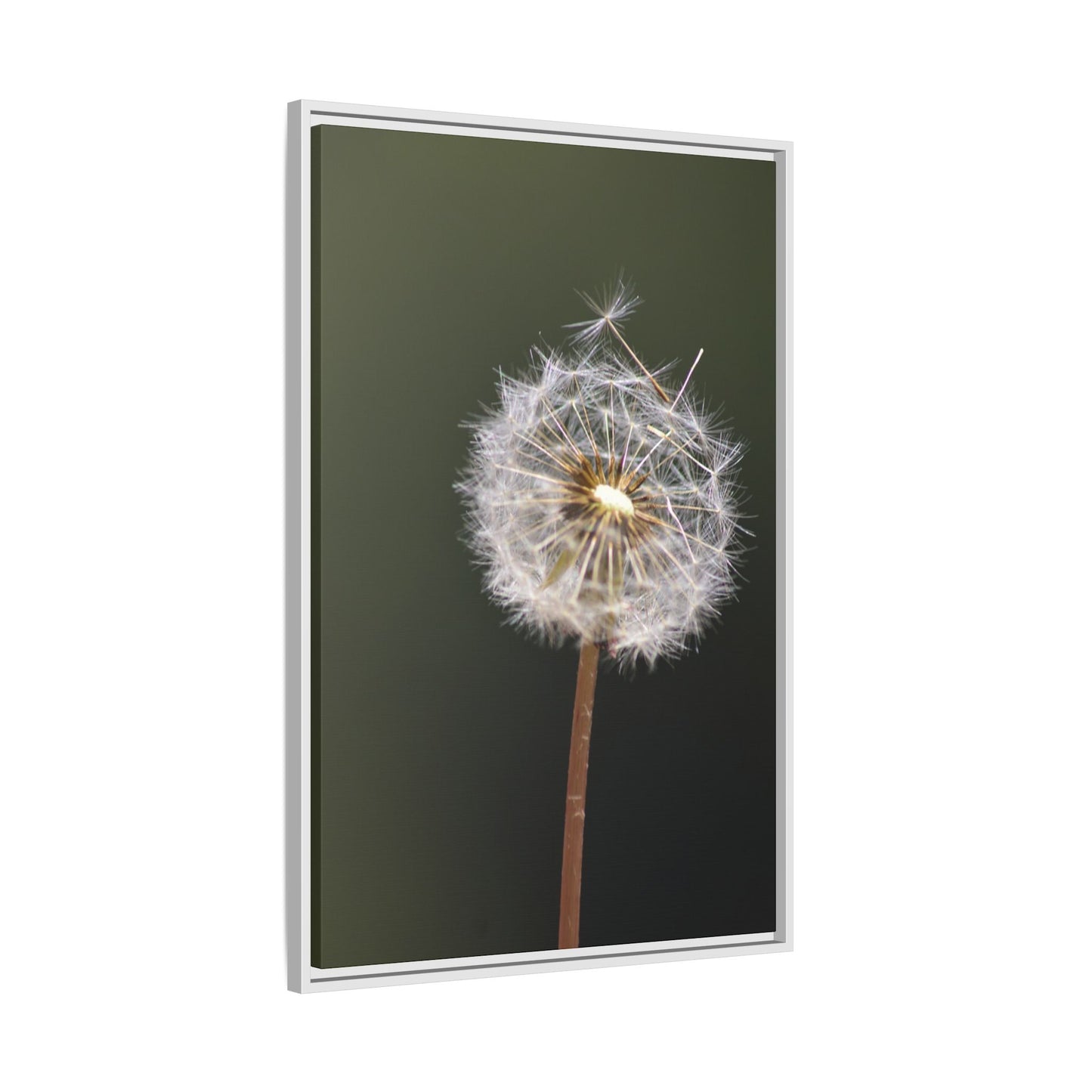 Framed Dandelion Canvas Print — Matte Botanical Wall Art