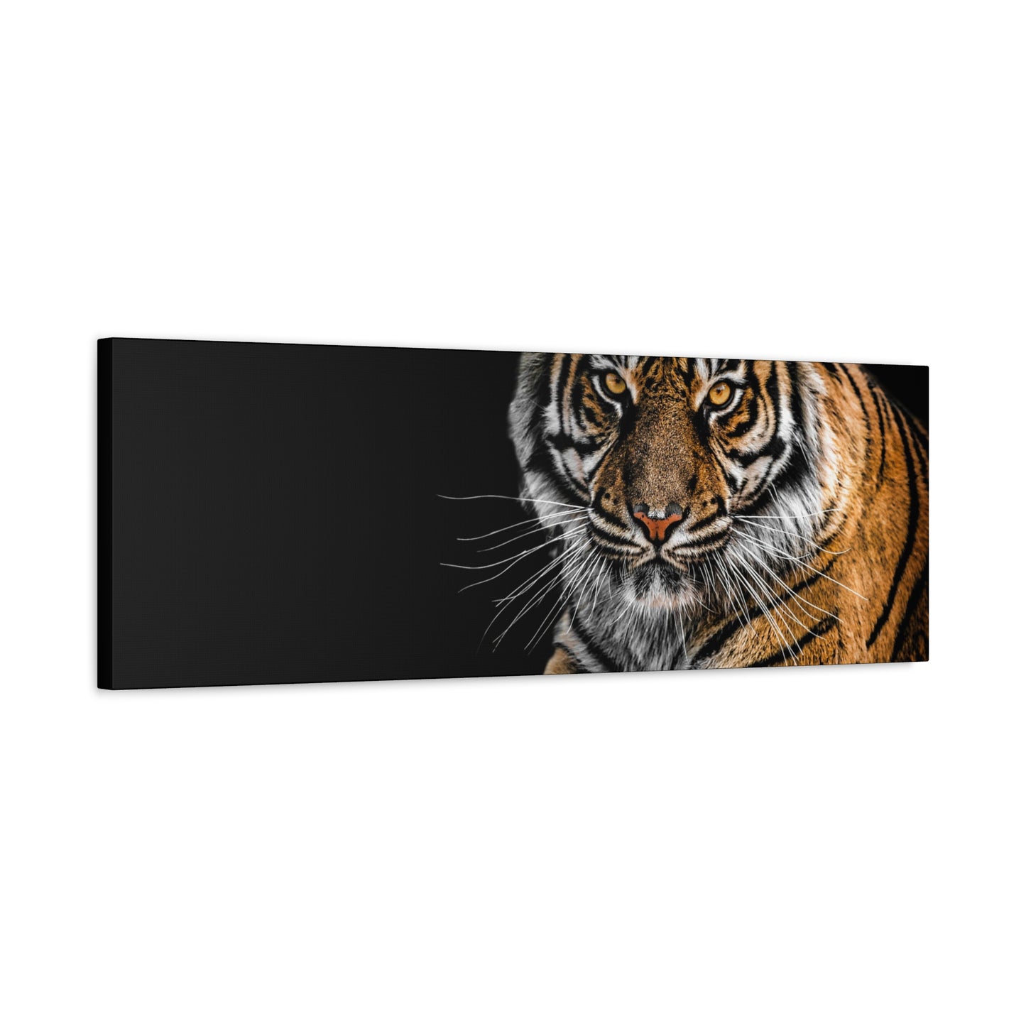 Majestic Tiger Canvas Art, Perfect for Animal Lovers