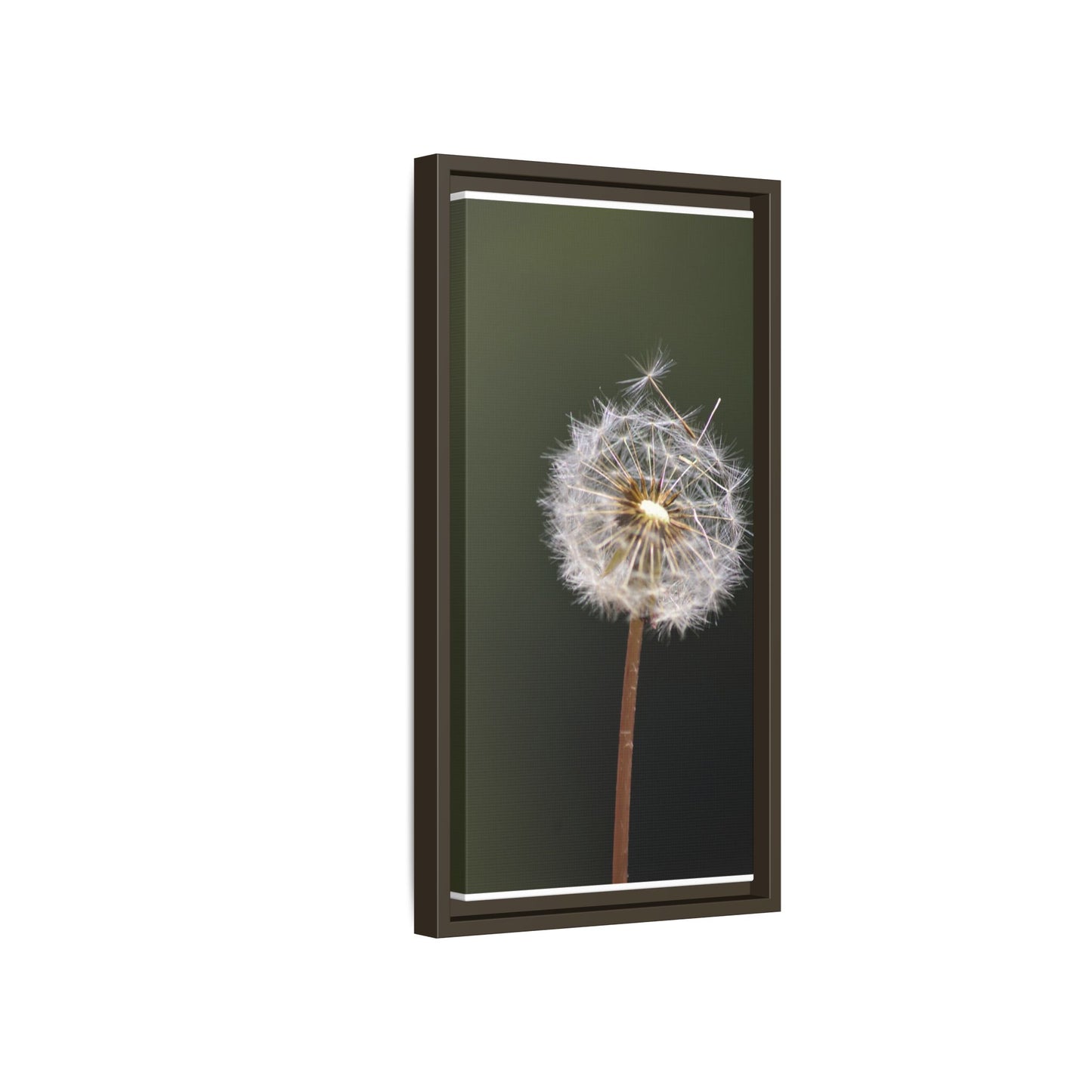 Framed Dandelion Canvas Print — Matte Botanical Wall Art