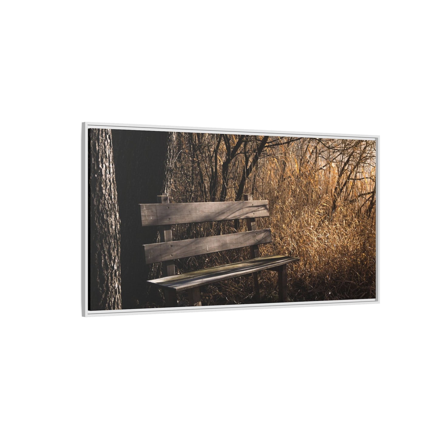 Framed Matte Canvas Print — Autumn Park Bench Photography