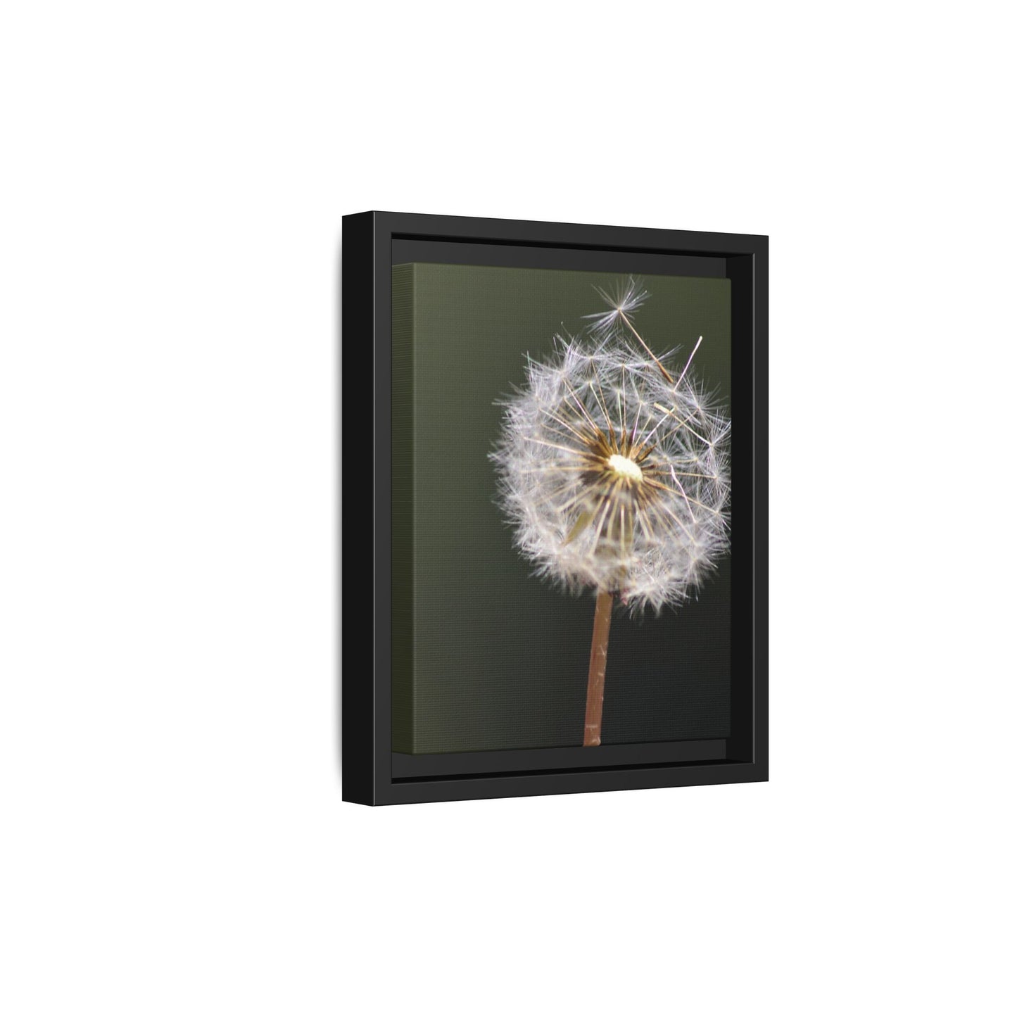 Framed Dandelion Canvas Print — Matte Botanical Wall Art