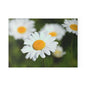 Charming Floral Glass Cutting Board - Kitchen Decor