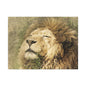 Lion Portrait Matte Canvas Print — Stretched 1.25" Wall Art