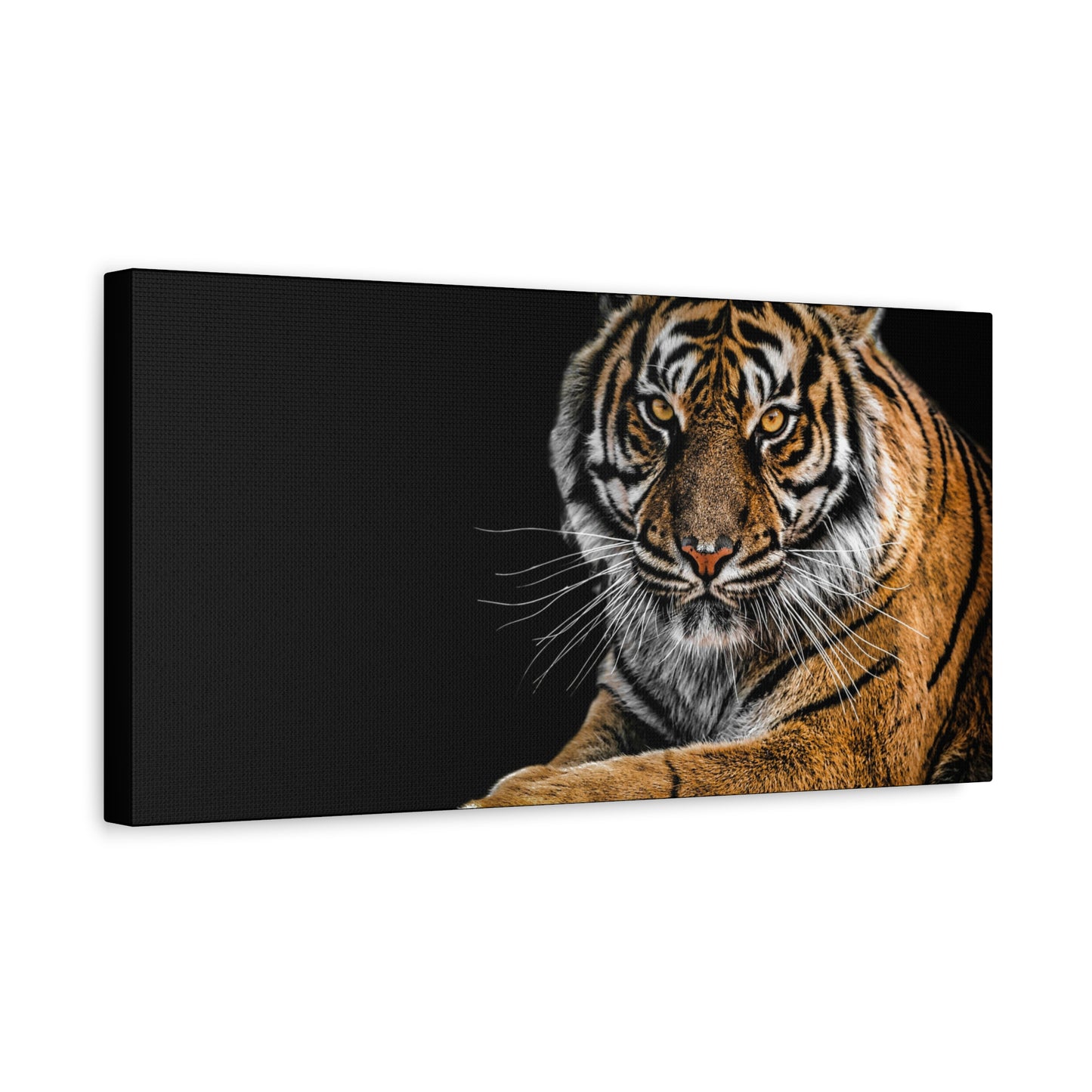 Majestic Tiger Canvas Art, Perfect for Animal Lovers