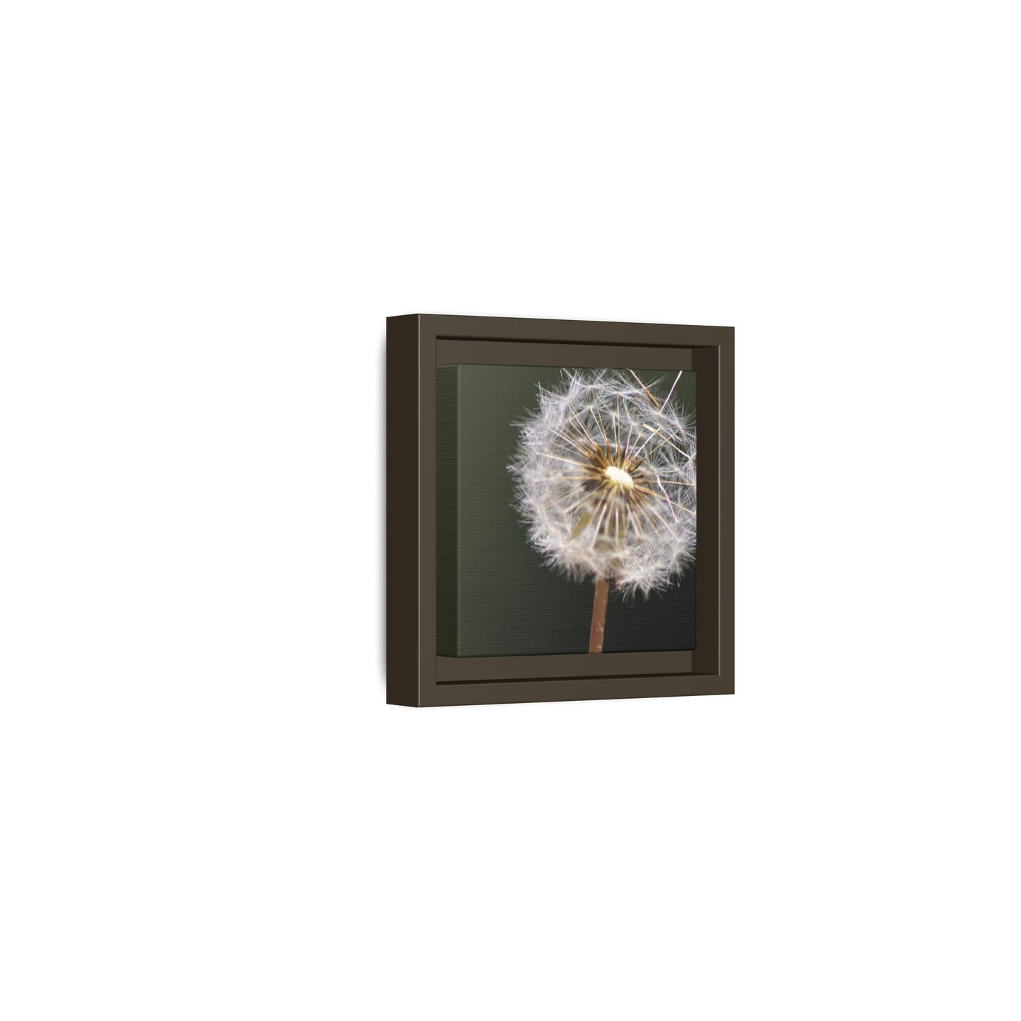 Framed Dandelion Canvas Print — Matte Botanical Wall Art