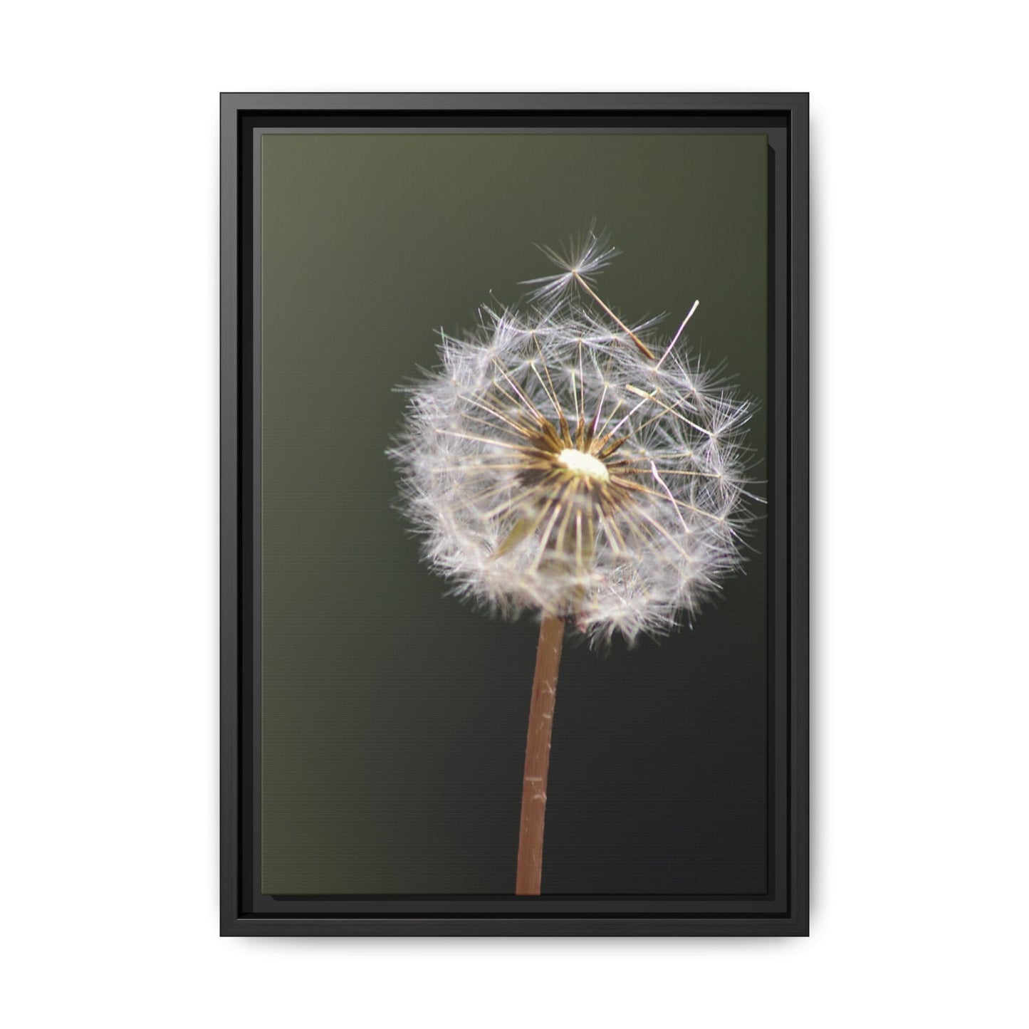 Framed Dandelion Canvas Print — Matte Botanical Wall Art