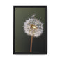 Framed Dandelion Canvas Print — Matte Botanical Wall Art