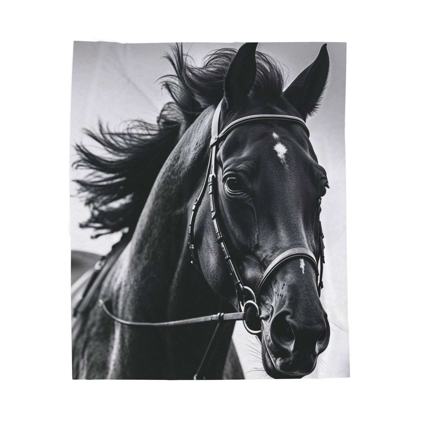 Black Stallion Velveteen Plush Blanket – Photoreal Horse Throw for Equestrian Fans