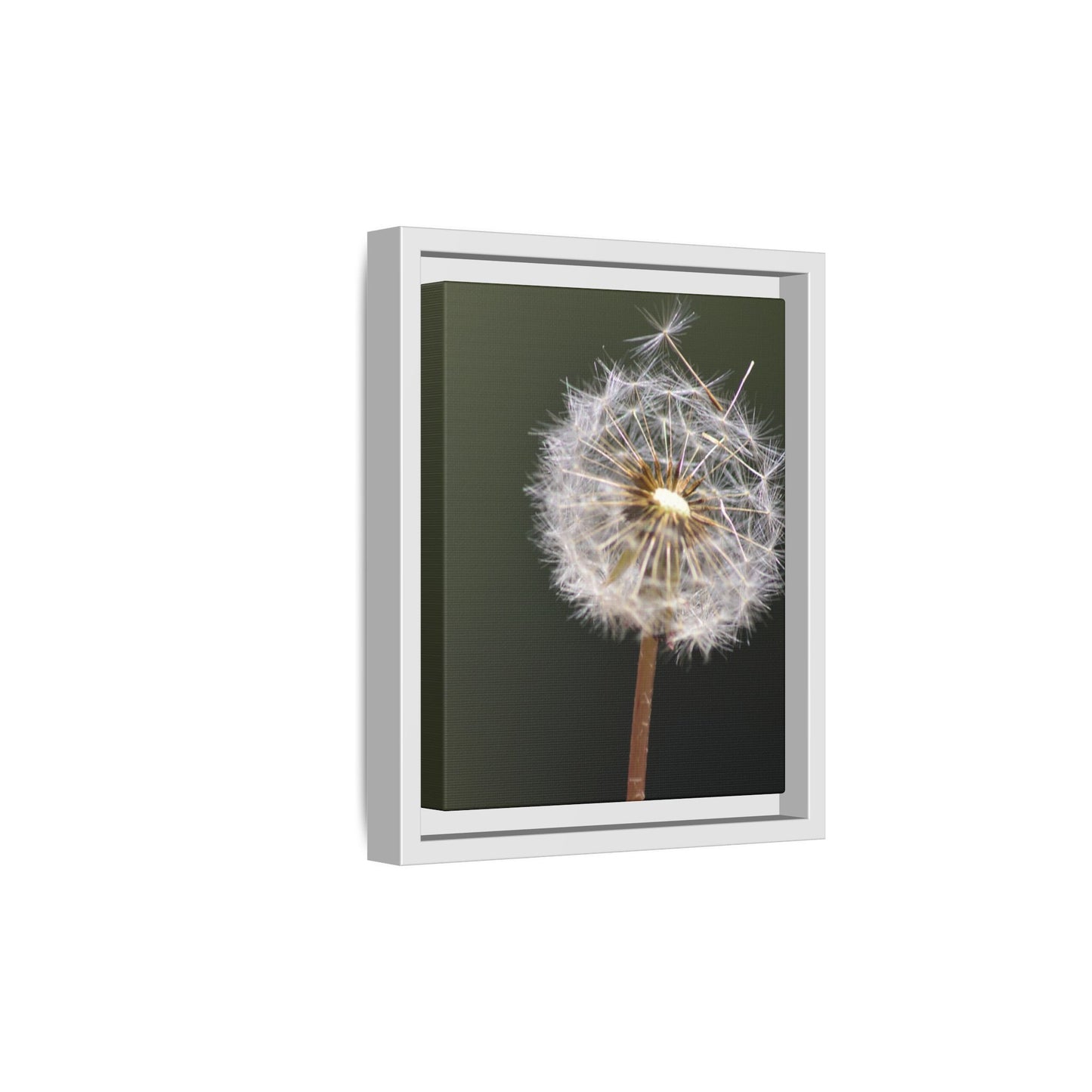 Framed Dandelion Canvas Print — Matte Botanical Wall Art