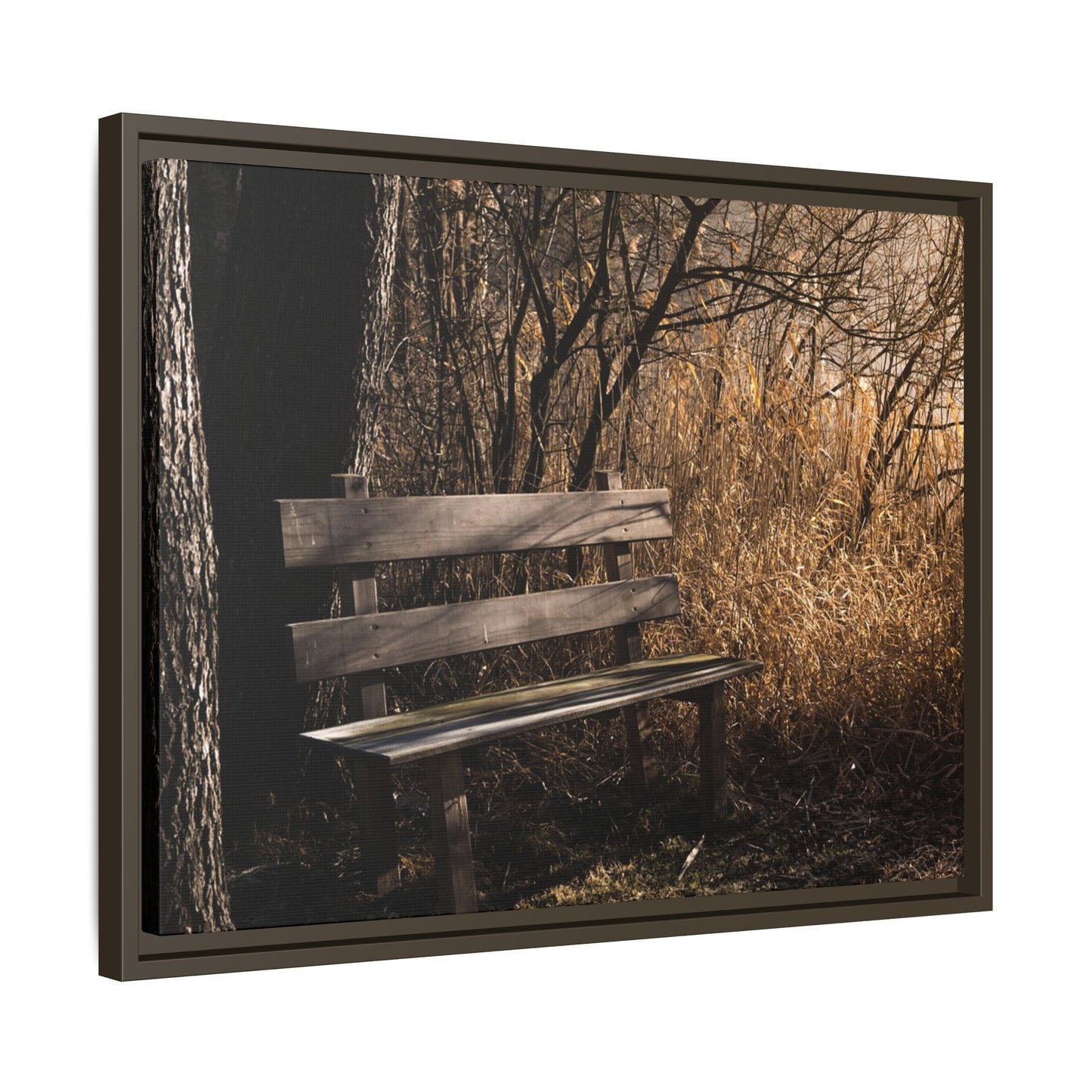 Framed Matte Canvas Print — Autumn Park Bench Photography