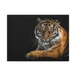 Majestic Tiger Canvas Art, Perfect for Animal Lovers
