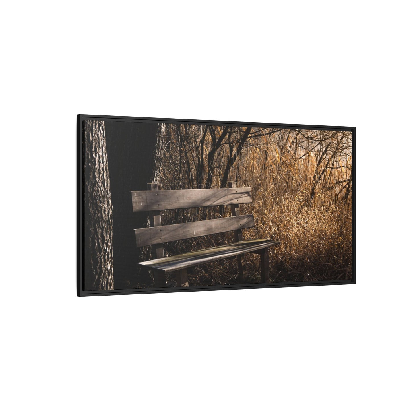 Framed Matte Canvas Print — Autumn Park Bench Photography
