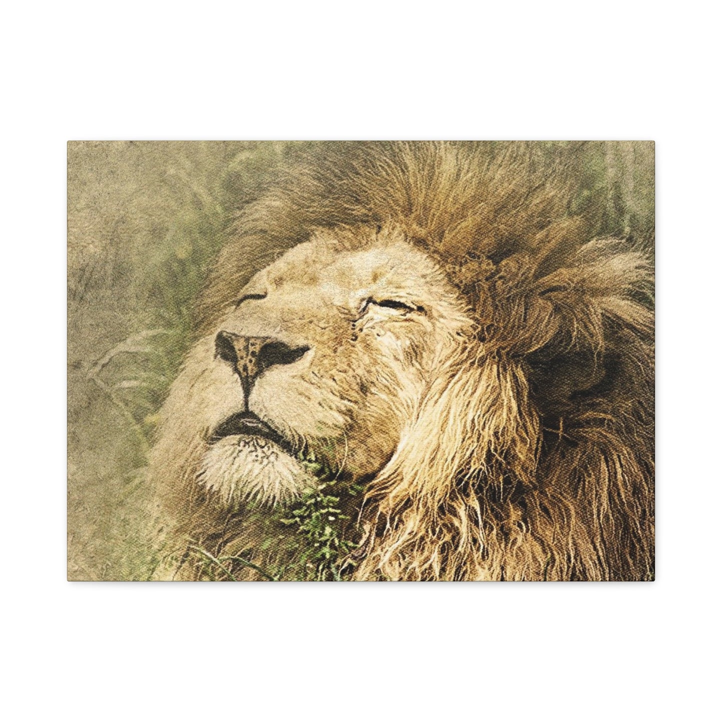 Lion Portrait Matte Canvas Print — Stretched 1.25" Wall Art