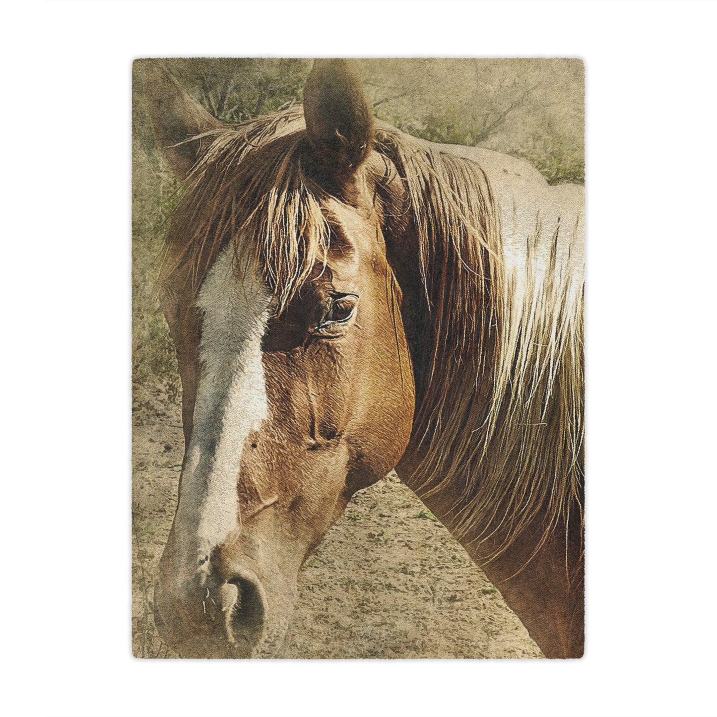 Rustic Horse Minky Blanket — Soft Western Horse Portrait Throw