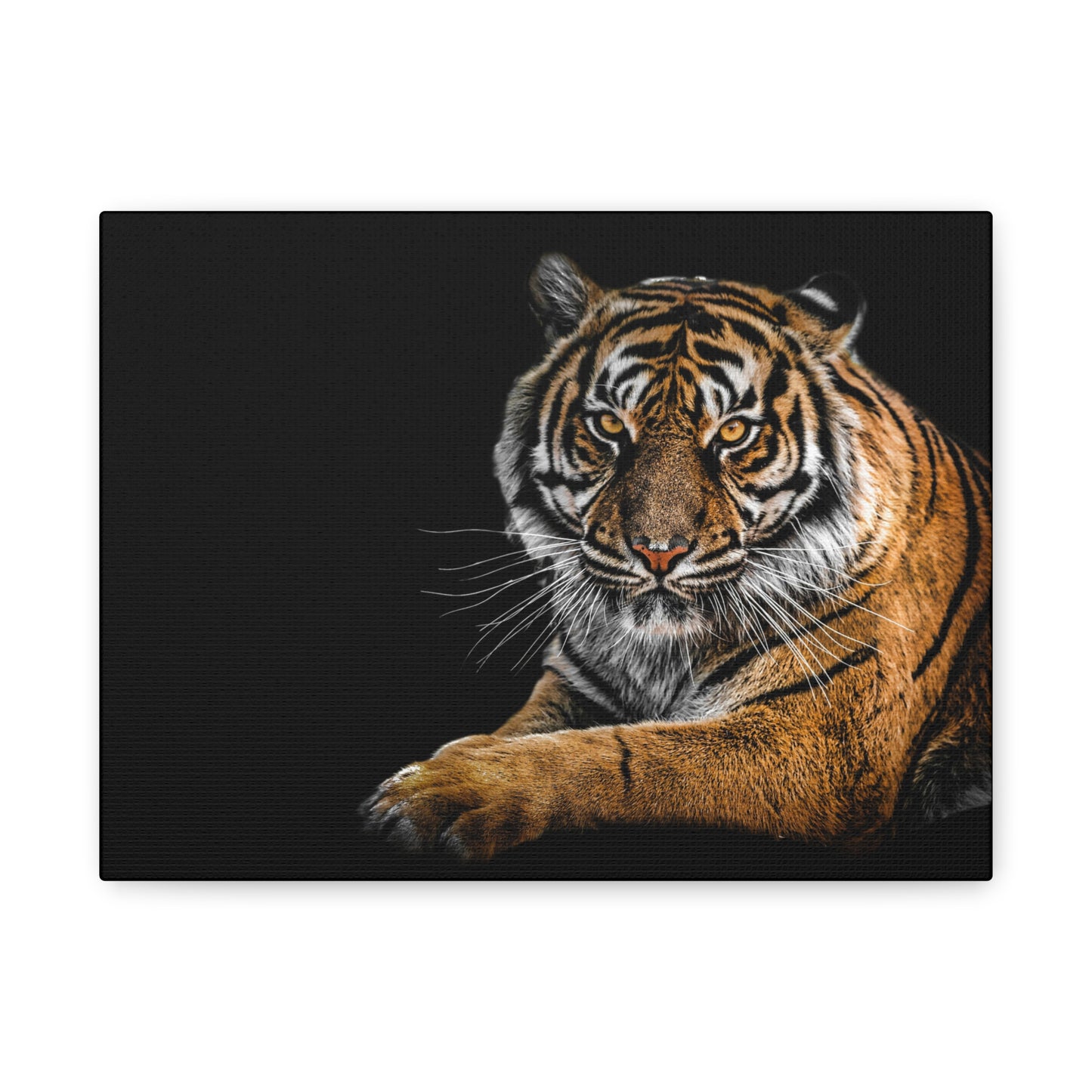 Majestic Tiger Canvas Art, Perfect for Animal Lovers