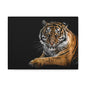 Majestic Tiger Canvas Art, Perfect for Animal Lovers