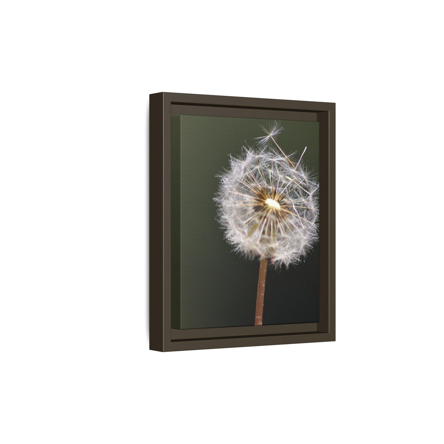 Framed Dandelion Canvas Print — Matte Botanical Wall Art