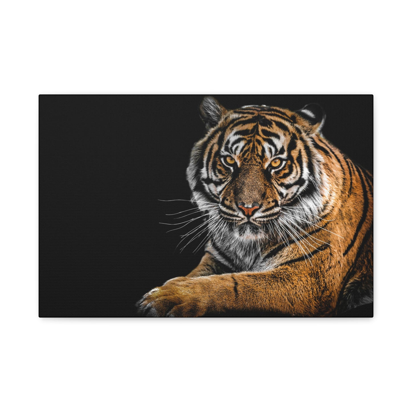 Majestic Tiger Canvas Art, Perfect for Animal Lovers