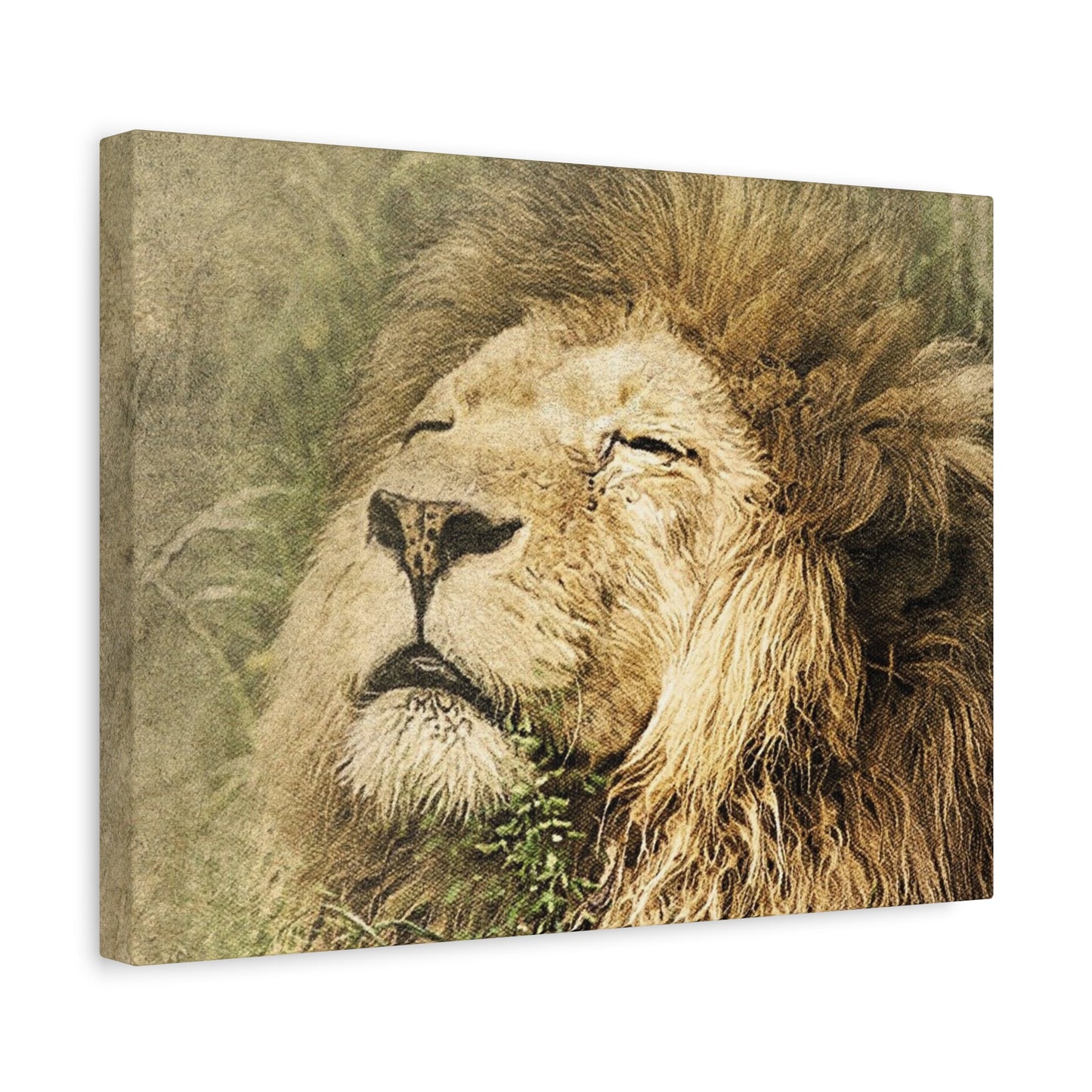 Lion Portrait Matte Canvas Print — Stretched 1.25" Wall Art