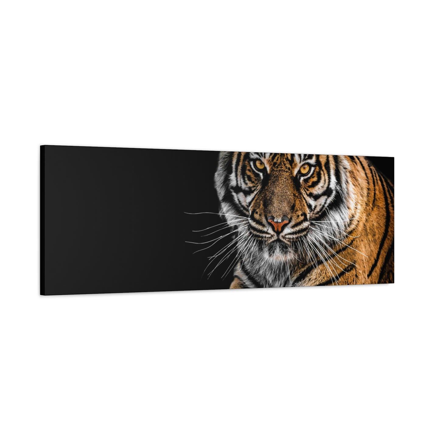 Majestic Tiger Canvas Art, Perfect for Animal Lovers