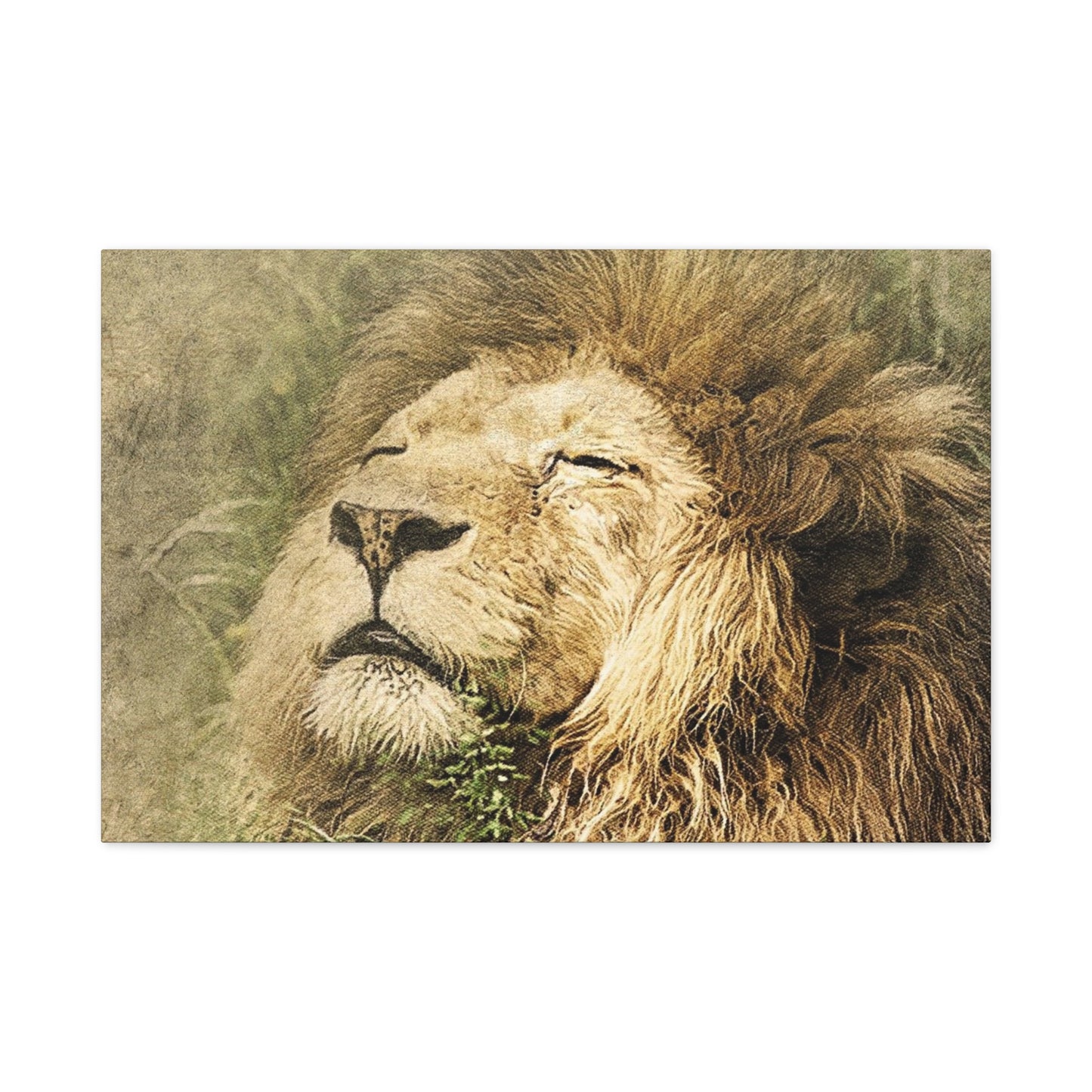 Lion Portrait Matte Canvas Print — Stretched 1.25" Wall Art