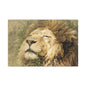 Lion Portrait Matte Canvas Print — Stretched 1.25" Wall Art