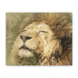 Lion Portrait Matte Canvas Print — Stretched 1.25" Wall Art