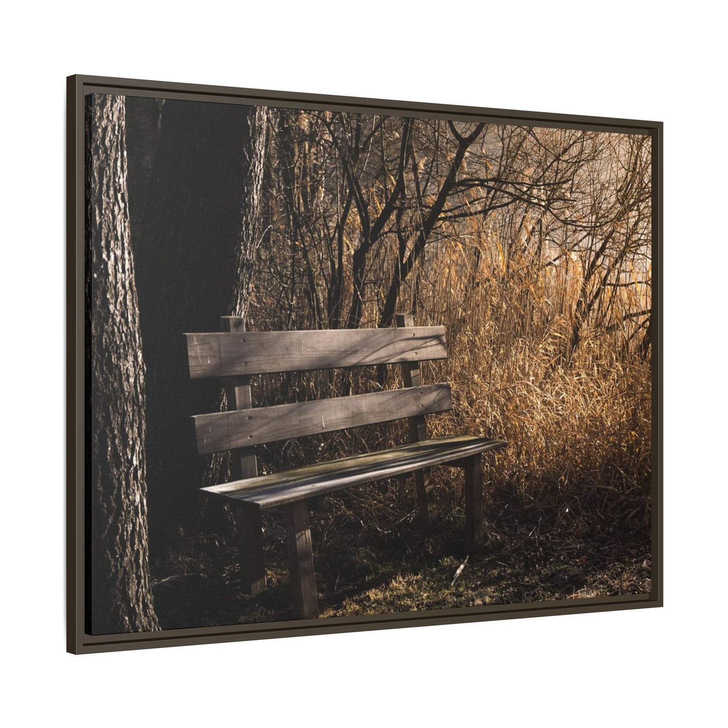 Framed Matte Canvas Print — Autumn Park Bench Photography