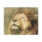 Lion Portrait Matte Canvas Print — Stretched 1.25" Wall Art
