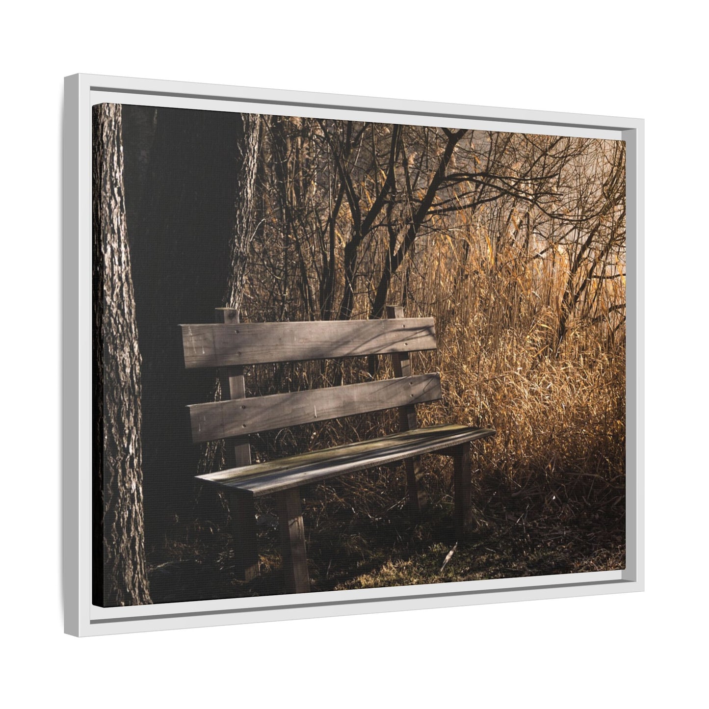 Framed Matte Canvas Print — Autumn Park Bench Photography