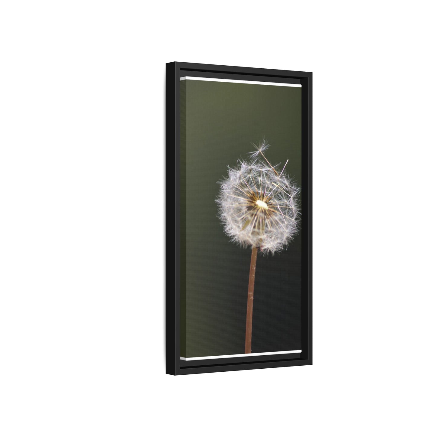 Framed Dandelion Canvas Print — Matte Botanical Wall Art