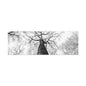 Black & White Tree Canopy Matte Canvas Wall Art — Upward Forest Photography