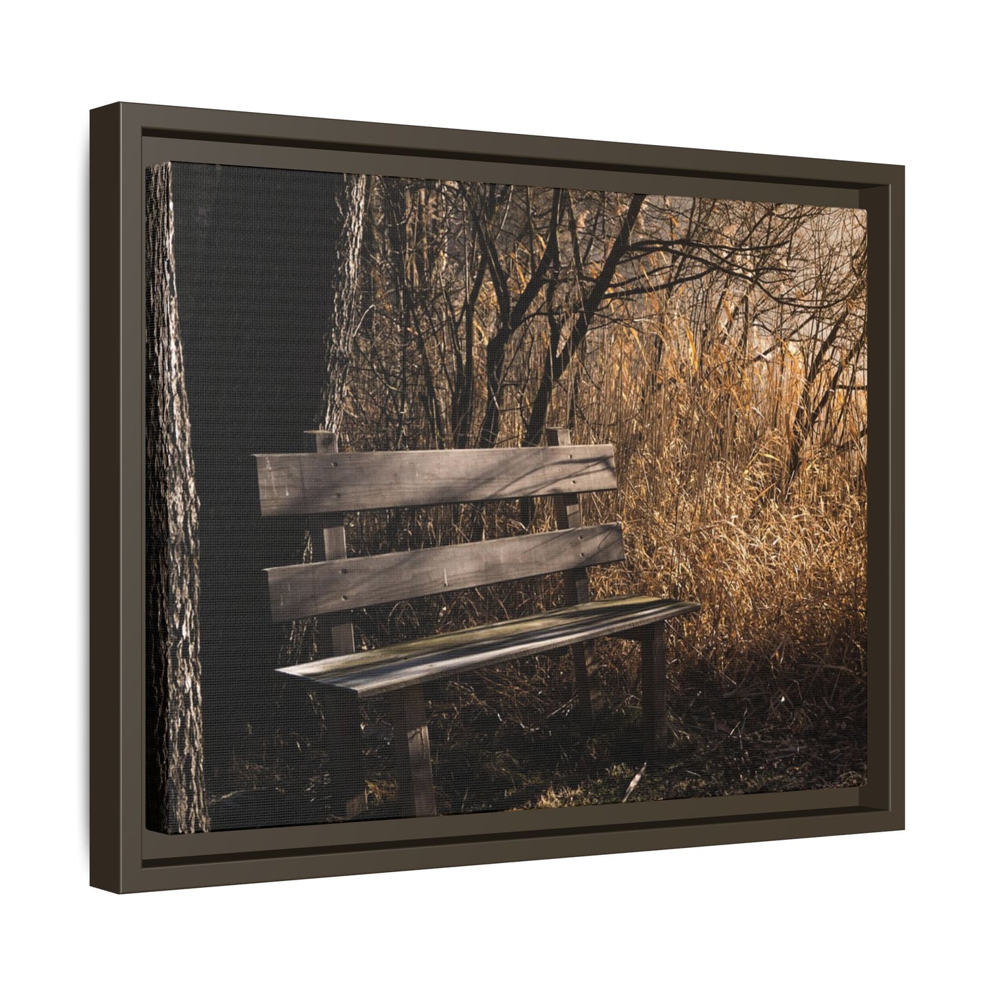 Framed Matte Canvas Print — Autumn Park Bench Photography