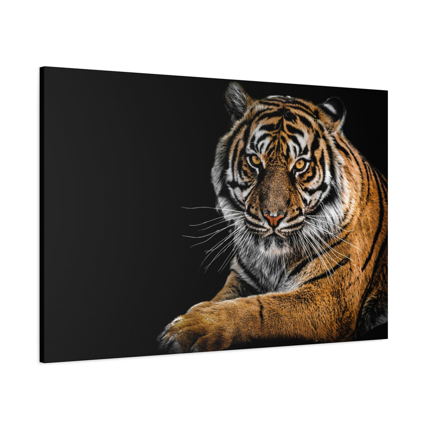 Majestic Tiger Canvas Art, Perfect for Animal Lovers