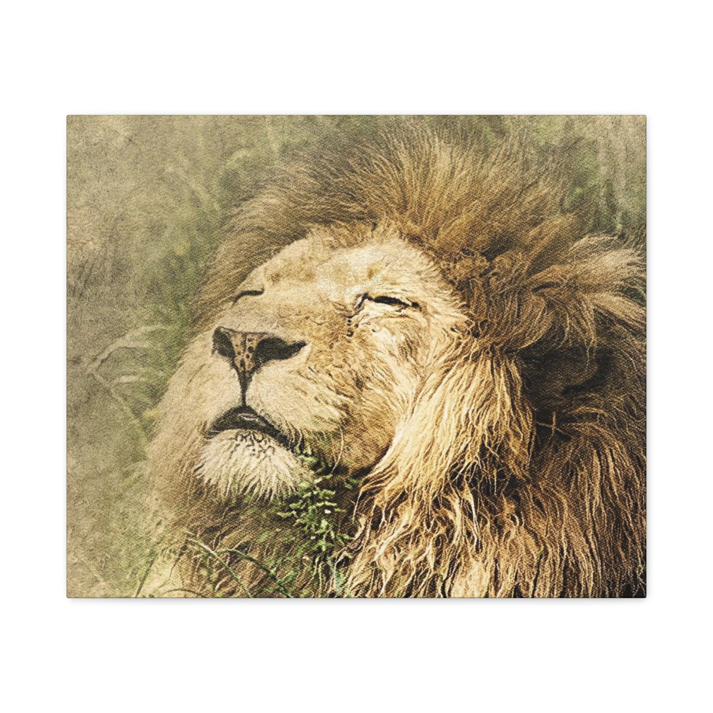 Lion Portrait Matte Canvas Print — Stretched 1.25" Wall Art