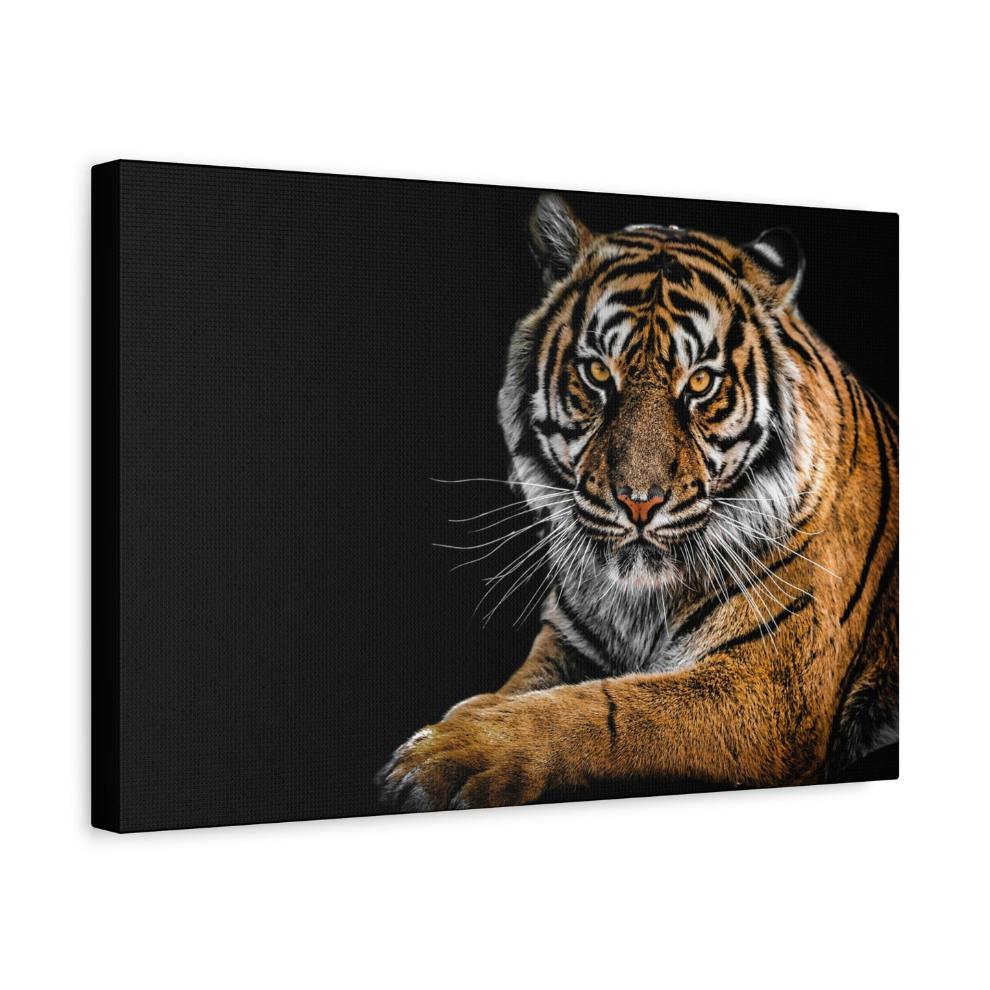 Majestic Tiger Canvas Art, Perfect for Animal Lovers