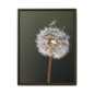 Framed Dandelion Canvas Print — Matte Botanical Wall Art