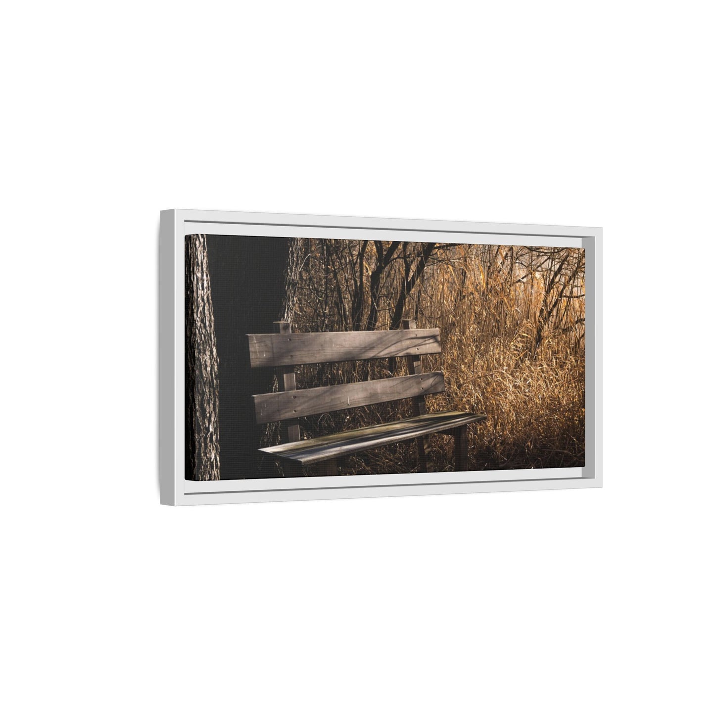 Framed Matte Canvas Print — Autumn Park Bench Photography