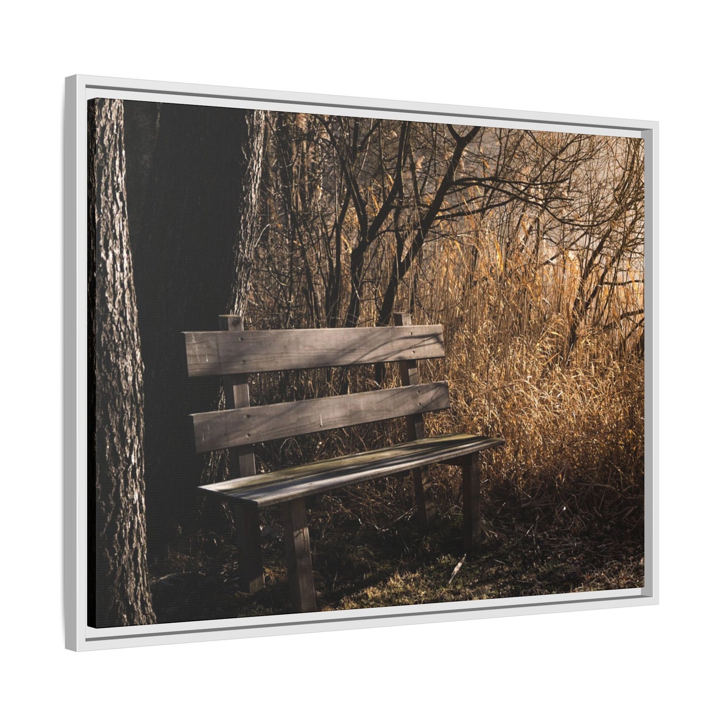 Framed Matte Canvas Print — Autumn Park Bench Photography