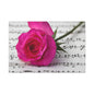 Stretched Canvas Art Print, Classic Rose on Sheet Music, Floral Wall Decor, Home Decoration, Gift for Music Lovers