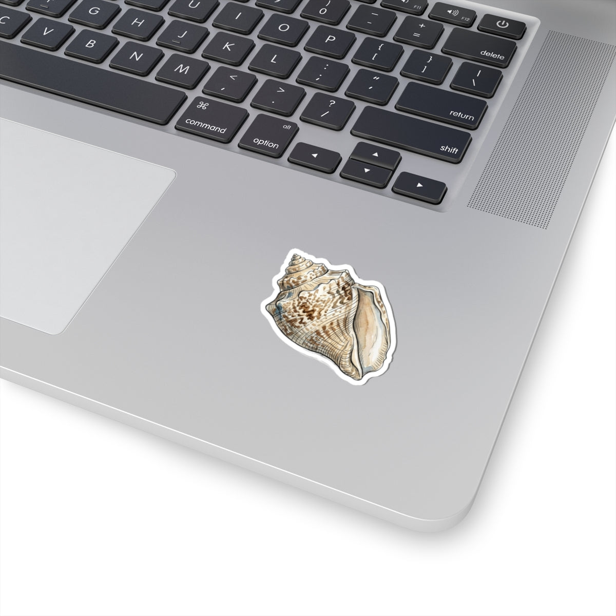 Seashell Kiss-Cut Sticker — Realistic Conch Shell Laptop Decal