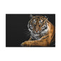 Majestic Tiger Canvas Art, Perfect for Animal Lovers