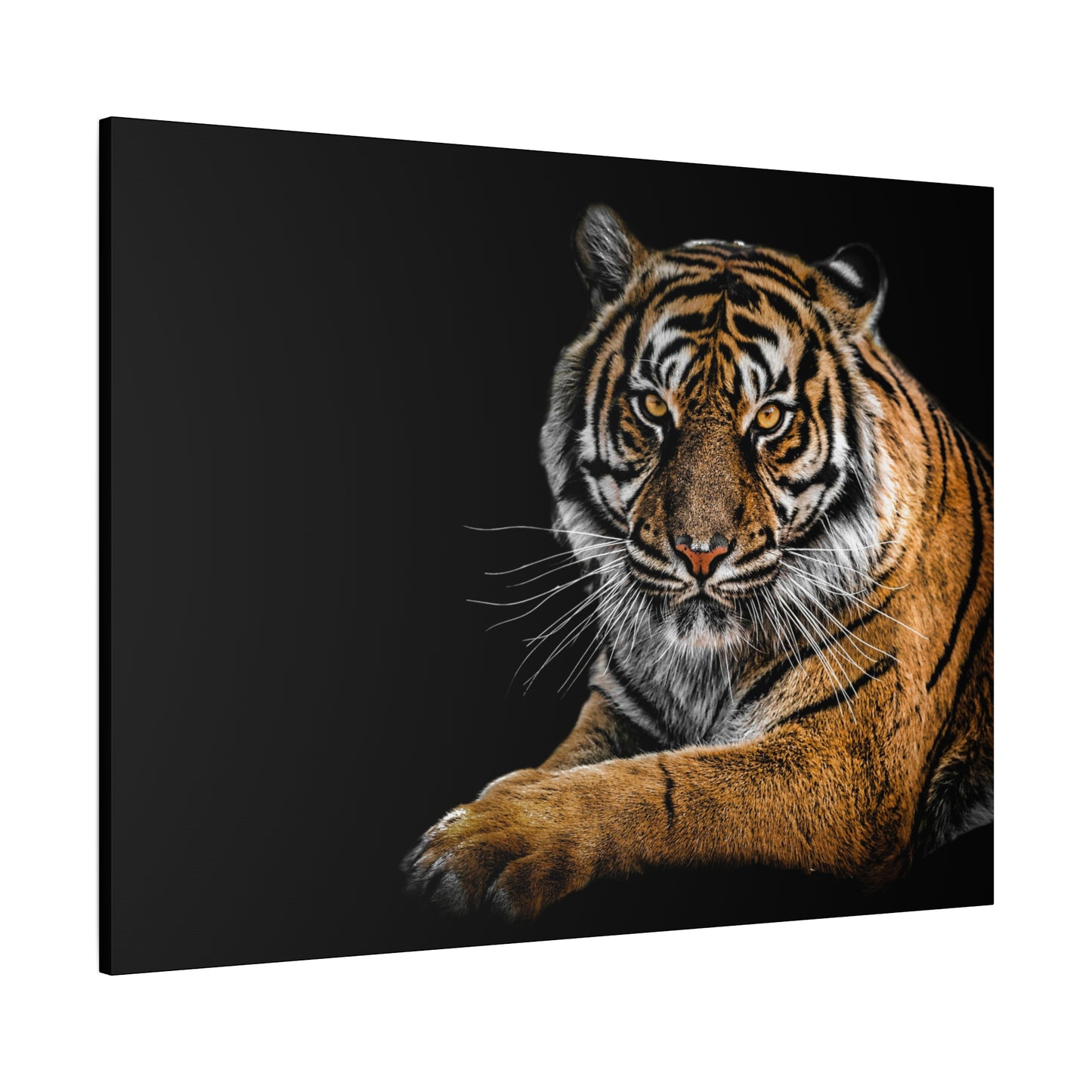Majestic Tiger Canvas Art, Perfect for Animal Lovers