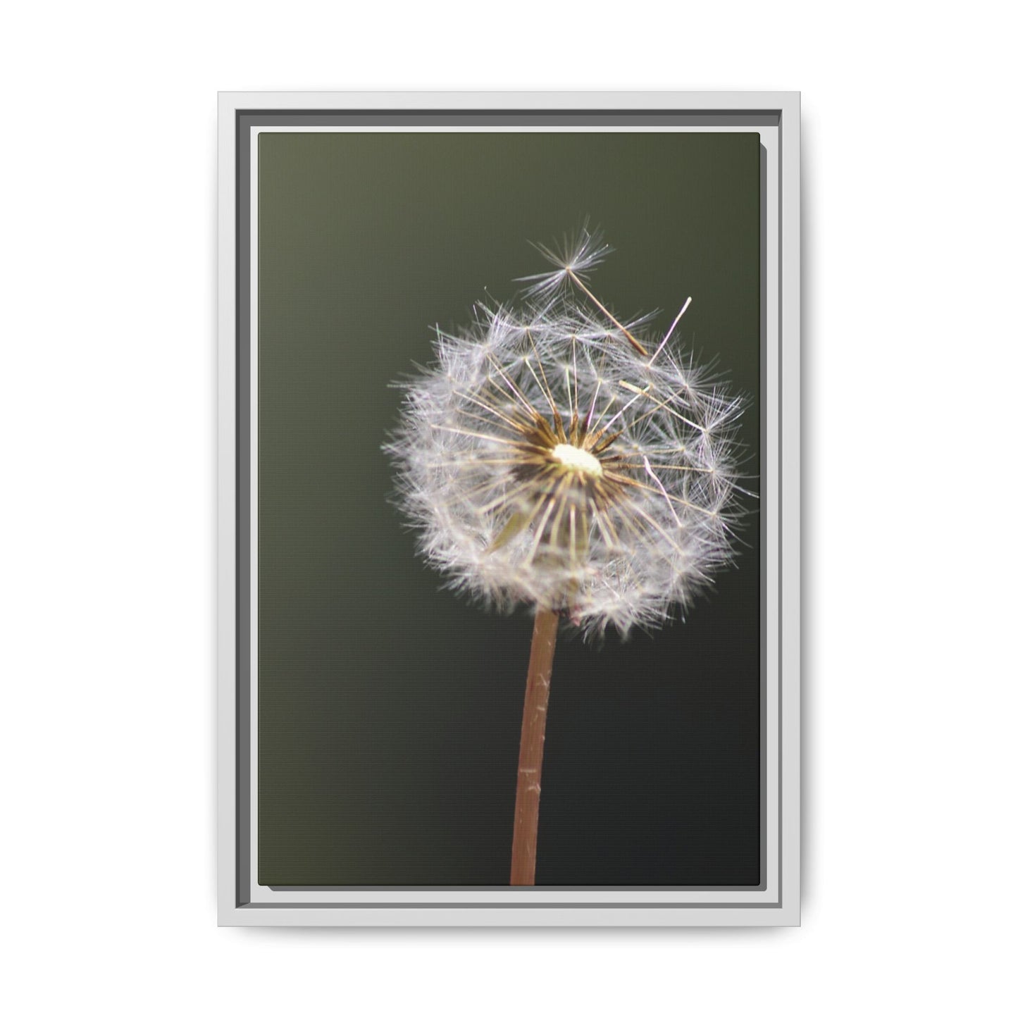 Framed Dandelion Canvas Print — Matte Botanical Wall Art